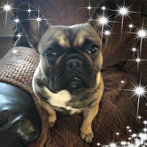 Meet your Posher, Carol